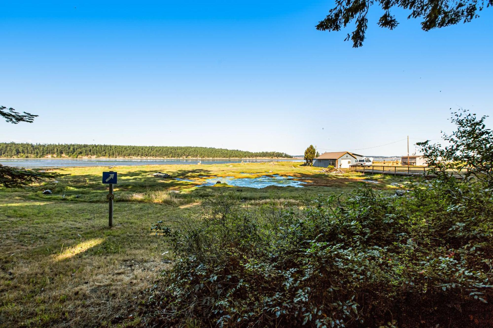 Marrowstone Island Beach Cabin المظهر الخارجي الصورة